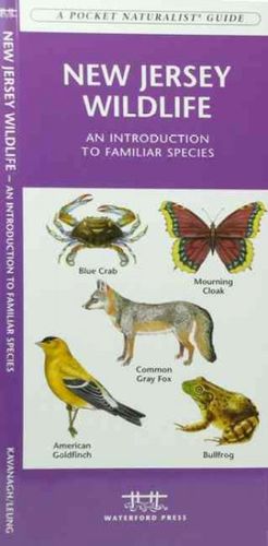 New Jersey Wildlifejersey 