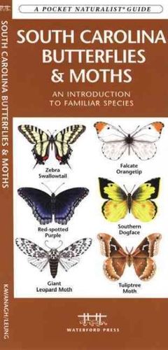 South Carolina Butterflies & Mothssouth 