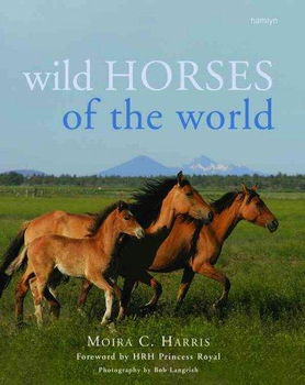 Wild Horses of the Worldwild 