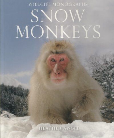 Snow Monkeyssnow 