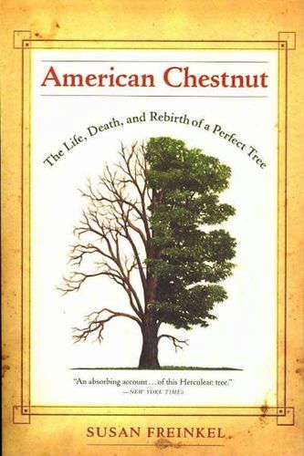 American Chestnutamerican 