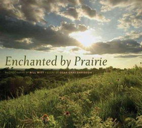 Enchanted by Prairieenchanted 