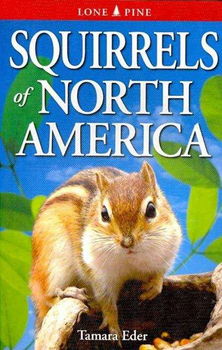 Squirrels of North Americasquirrels 