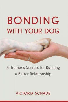 Bonding With Your Dogbonding 