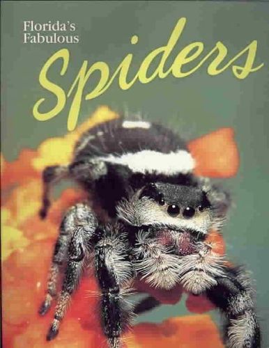 Florida's Fabulous Spidersflorida 