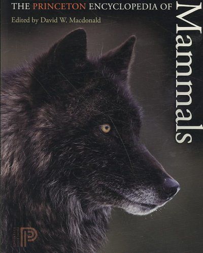 The Princeton Encyclopedia of Mammalsprinceton 
