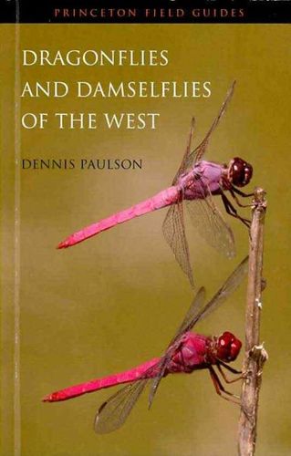 Dragonflies and Damselflies of the Westdragonflies 