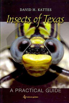 Insects of Texasinsects 
