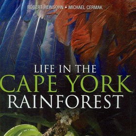 Life in the Cape York Rainforestlife 