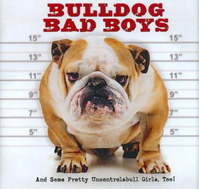 Bulldog Bad Boysbulldog 