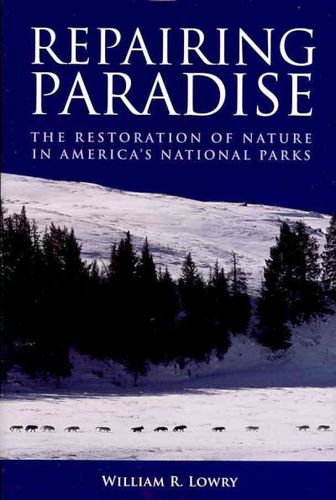 Repairing Paradiserepairing 