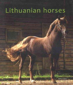 Lithuanian Horseslithuanian 
