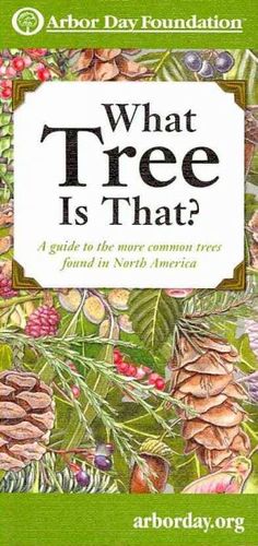 What Tree Is That?tree 