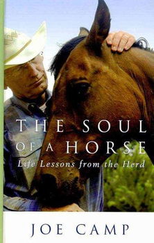 The Soul of a Horsesoul 