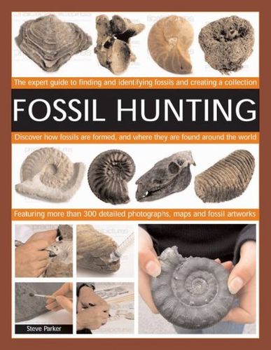 Fossil Huntingfossil 