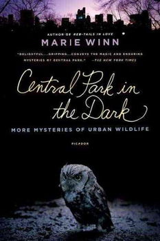 Central Park in the Darkcentral 
