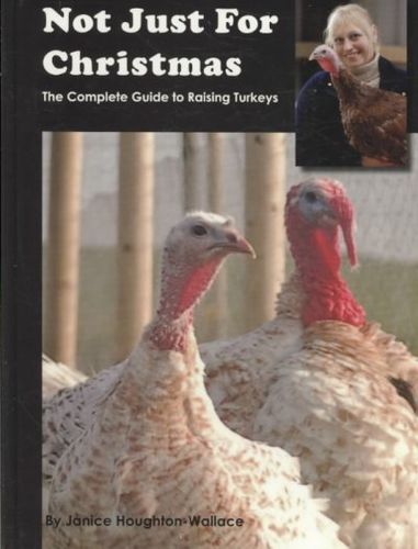 Not Just for Christmaschristmas 