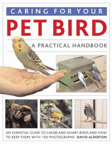 Caring for Your Pet Birdcaring 