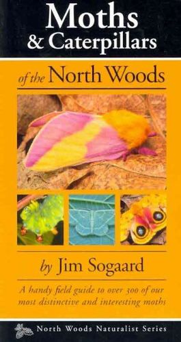 Moths & Caterpillars of the North Woodsmoths 