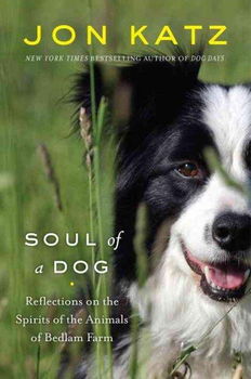 Soul Of A Dogsoul 