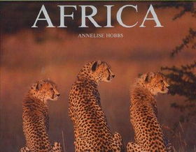 Africaafrica 