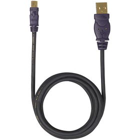 BELKIN F3U138-10 Pro Series USB 2.0 5-Pin A to Mini B Cable, 10 ftbelkin 