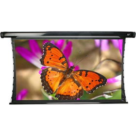 CineTension2 CineWhite (1.1 Gain) 16:9 59" x 105" Motorized Screen (120" Diagonal)cinetension 