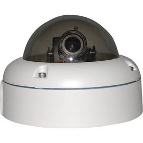 Large Vandel-Proof Color Outdoor Dome Cameravandel 