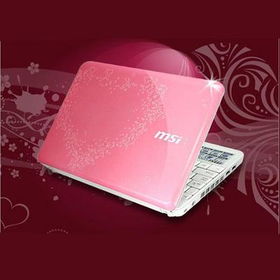 WIND 10  Pink Love Editionwind 