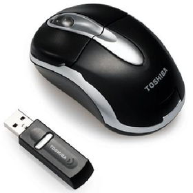 Wireless RF Optical MouseBk/Svwireless 