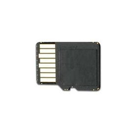 Garmin 256 MB microSD cardgarmin 