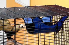 Small - Blue - Ferret Blue  Flat Hammock