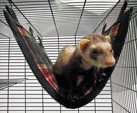 Large - Deluxe Plaid Ferret Flat Hammock