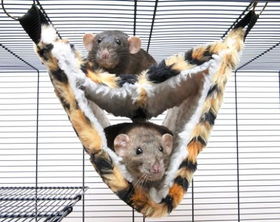 Large - Deluxe Fur Ferret Tube Hammock