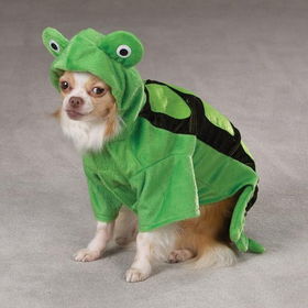Zack & Zoey Turtle Costumeszack 