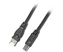 6' A To B USB 2.0 Peripheral Cableusb 