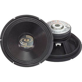 Professional Premium PA Woofer - 12"", 700-Wattsprofessional 