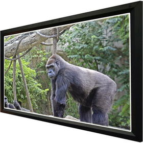 Luminary 110" Diagonal, 16:9 Framed Wall Screen