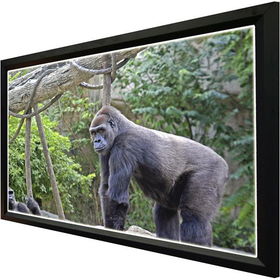 Luminary 92" Diagonal, 16:9 Framed Wall Screen