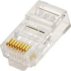 CAT6 Modular Plug - Solid - 25-Packcat 