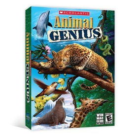 Animal Geniusanimal 