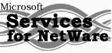 SrvcsforNetWare 5.0 ENG OLP NL LclGov