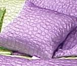 Cool Croc Purple Pillow Color: Purple