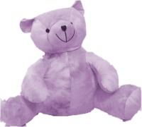 Cool Tye Dyed Bear Bear Pillow Color: Tye Dye Amethyst