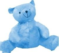 Cool Tye Dyed Bear Bear Pillow Color: Tye Dye Turquoistye 