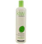 L'OREAL by L'Oreal KIWI COLOREFLECTOR KIWI SHAMPOO 16 OZ