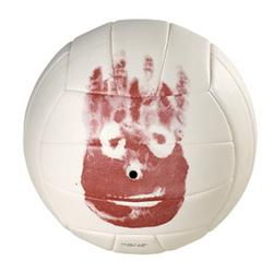 Wilson Castaway Volleyballwilson 