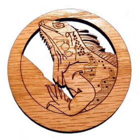 2.5 inch Iguana Magnetinch 