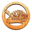 2.5 inch Turtle Magnet