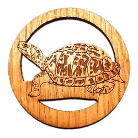 2.5 inch Turtle Magnetinch 